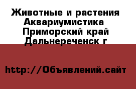 Животные и растения Аквариумистика. Приморский край,Дальнереченск г.